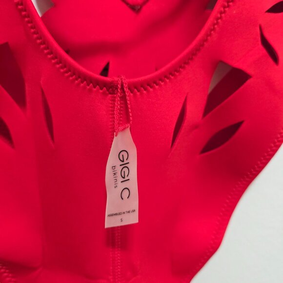 Gigi C Casey Plunging One Piece. Red. Sz S. NWT RP $205. Sexy, Elegant, Lux - Picture 7 of 11